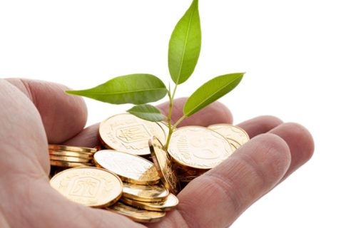 OJK Ingatkan Agar Investor Tidak Fokus Hanya ke Satu Instrumen